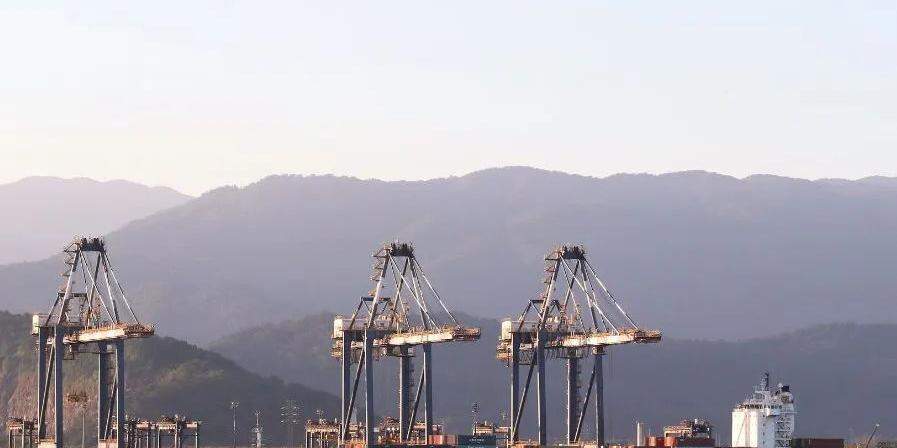 Ports show a mismatch between the timelines of public administration and market needs