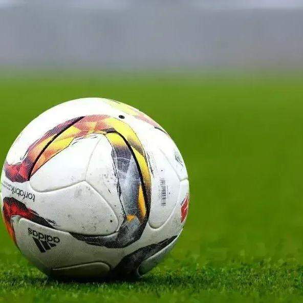 Confira os jogos da Copa do Mundo nesta sexta; Brasil encara o Haiti