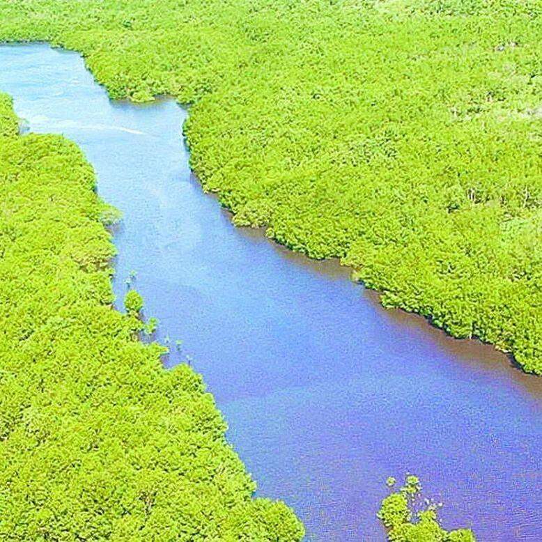 Responsabilidade ambiental