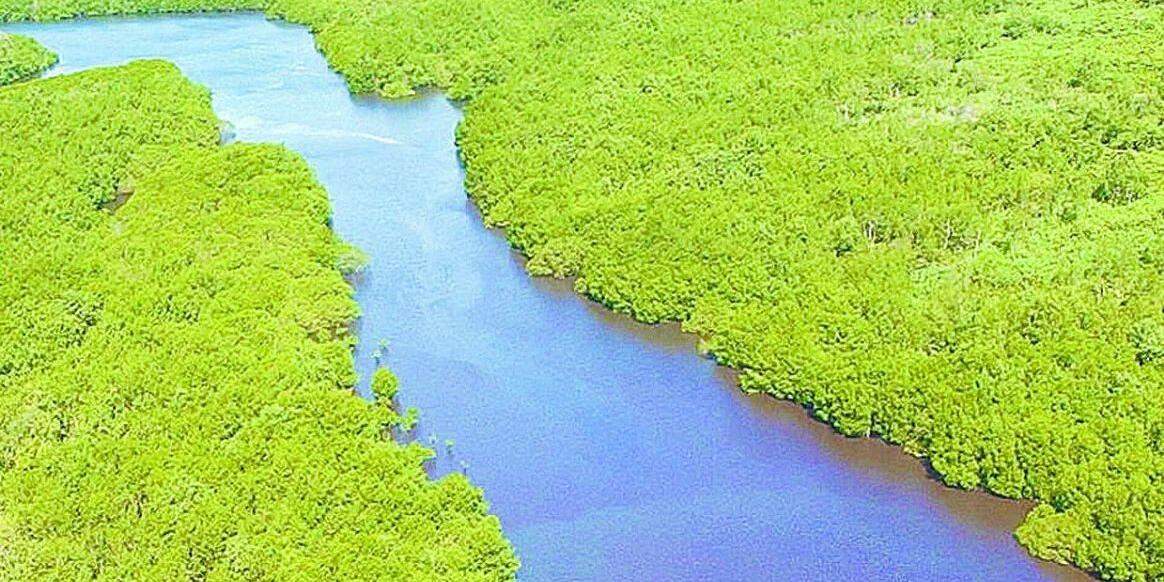 Responsabilidade ambiental
