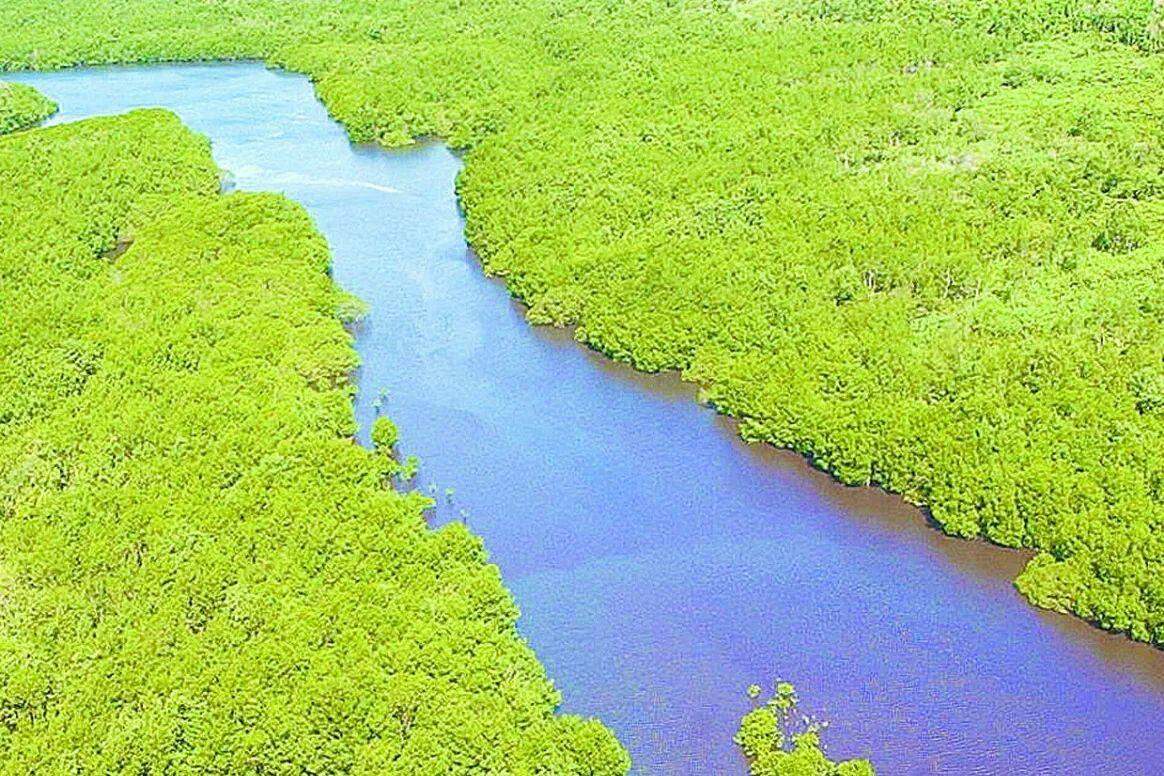 Responsabilidade ambiental