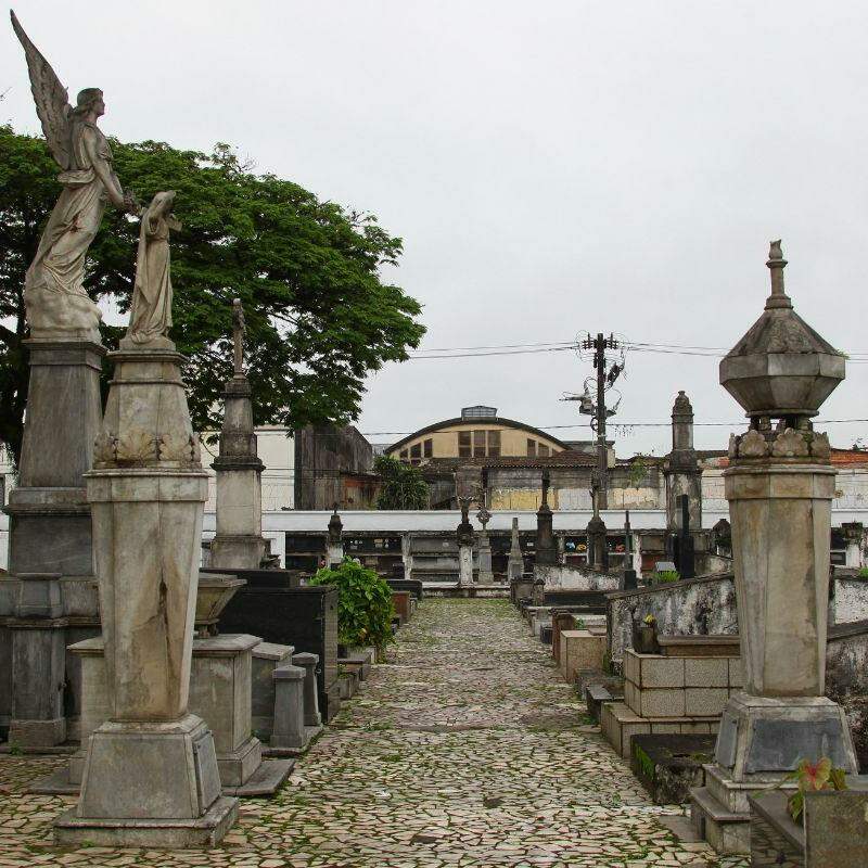 Cemitério do Paquetá, em Santos, é um dos três locais que poderão receber animais de estimação mortos; decreto foi publicado no Diário Oficial
