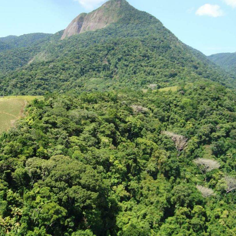 Ao longo do trajeto, o visitante pode observar diversas espécies da fauna local, além de desfrutar da experiência de estar rodeado da mais pura Mata Atlântica