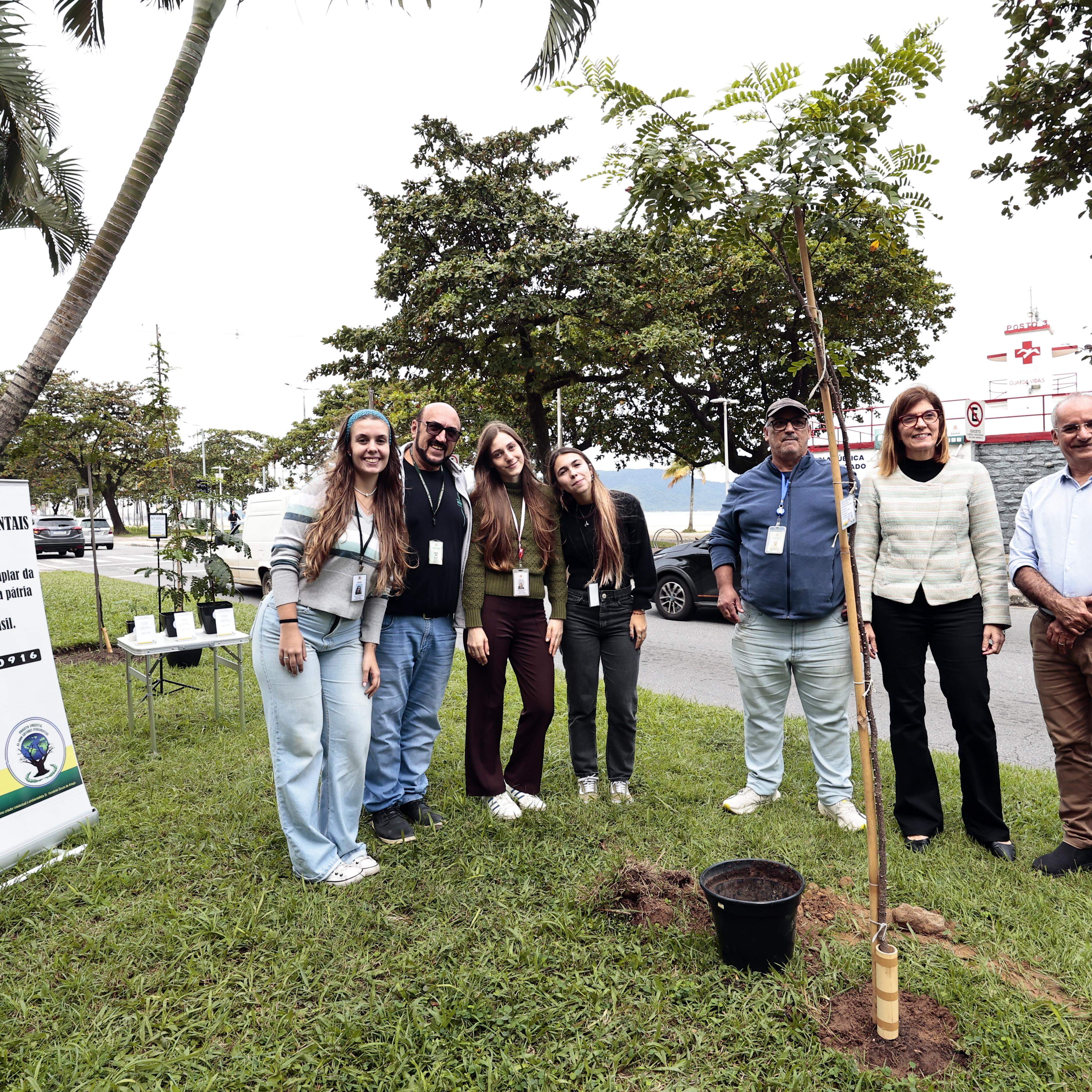 O plantio ocorreu no canteiro central da Avenida Presidente Wilson, no Gonzaga, ao lado das árvores cultivadas em 2023, 2024 e 2025