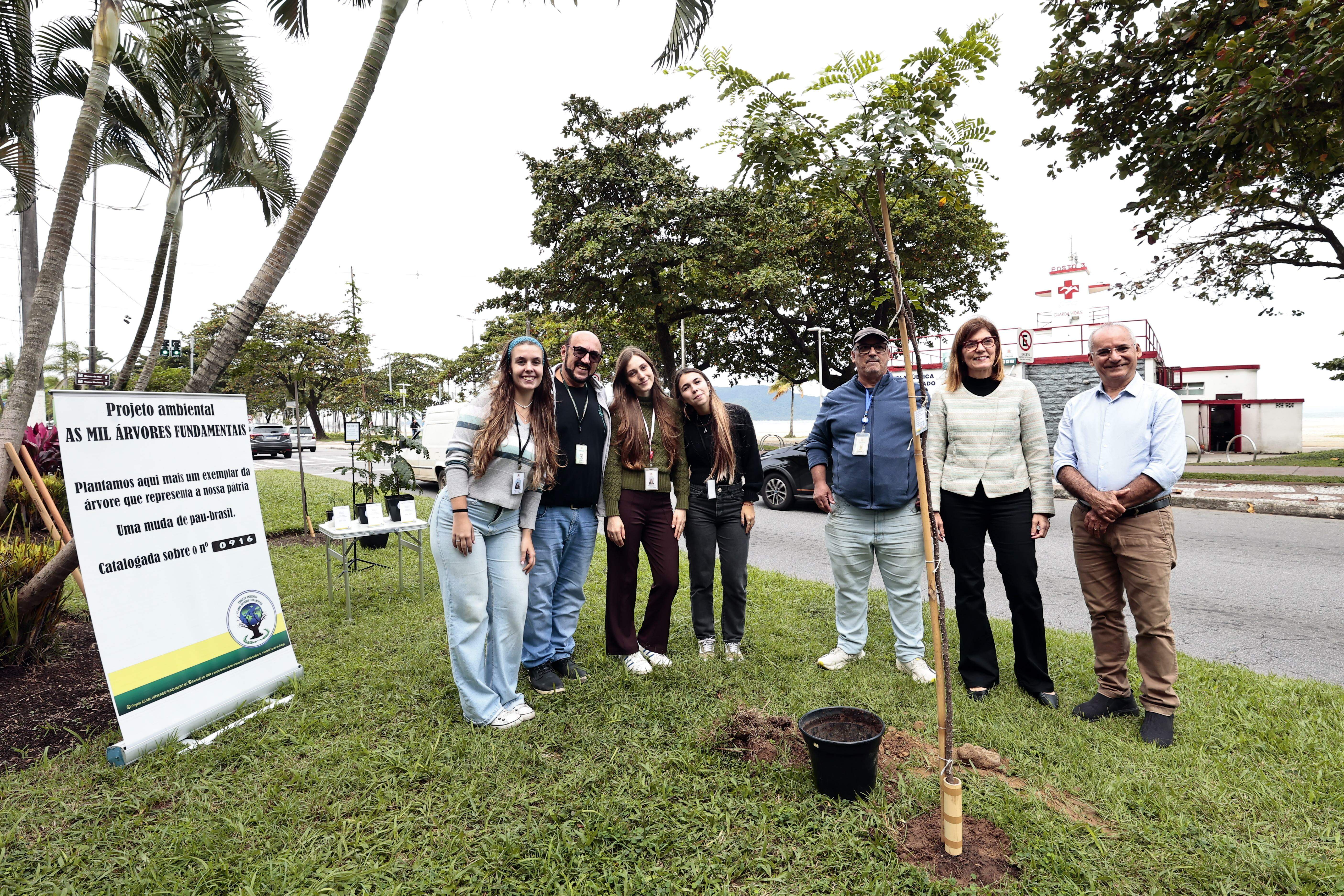 O plantio ocorreu no canteiro central da Avenida Presidente Wilson, no Gonzaga, ao lado das árvores cultivadas em 2023, 2024 e 2025