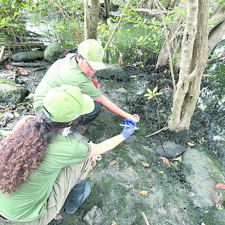 Estudo pretende entender os impactos que permanecem no ambiente mesmo após as ações de limpeza.