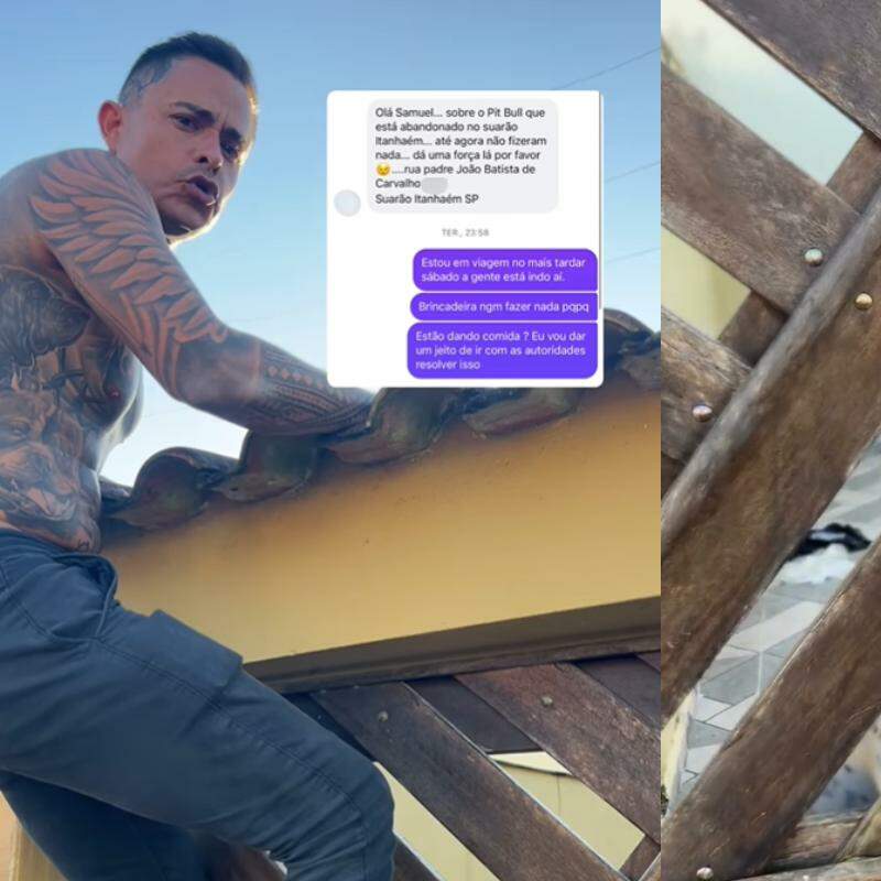 O Rei dos Pitbulls foi até a residência denunciar a situação de abandono animal em Itanhaém