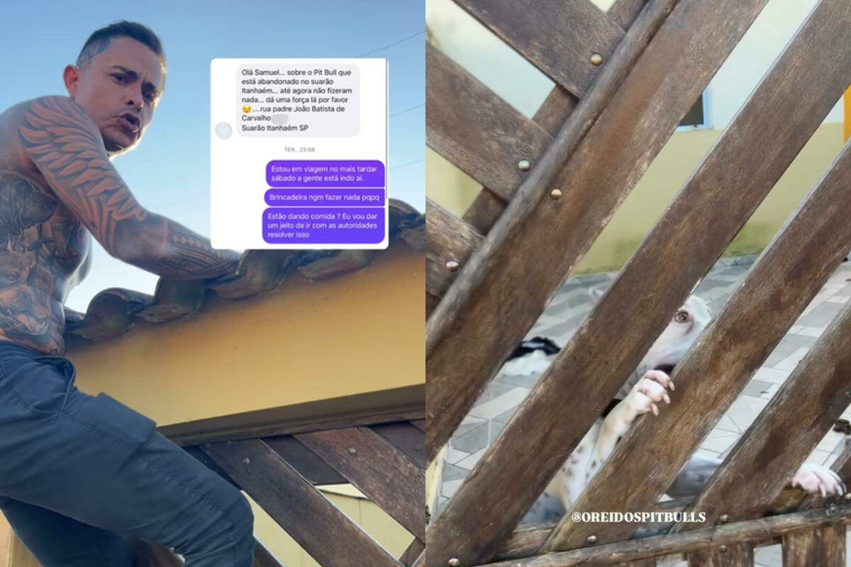 O Rei dos Pitbulls foi até a residência denunciar a situação de abandono animal em Itanhaém