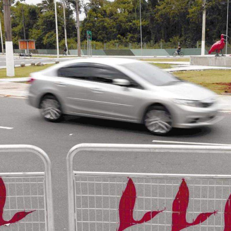 Acesso a materiais educativos, pesquisas e estudos servirão de base para ações de educação no trânsito