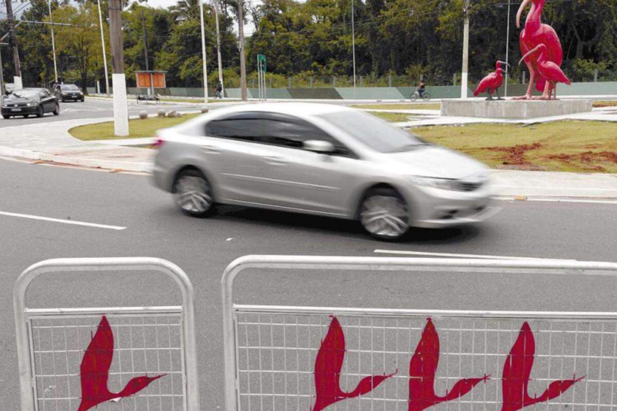 Acesso a materiais educativos, pesquisas e estudos servirão de base para ações de educação no trânsito