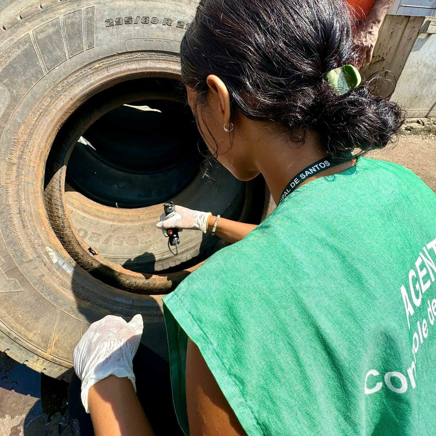 Números da dengue estão em queda: ações de combate justificam baixa em Santos