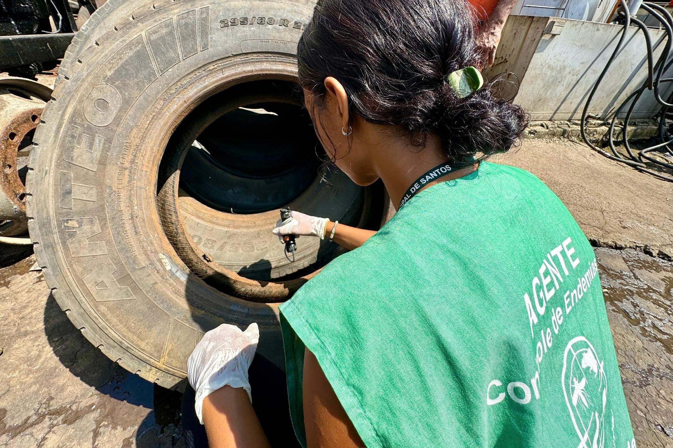 Números da dengue estão em queda: ações de combate justificam baixa em Santos