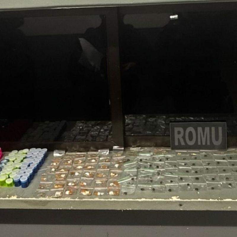 Homem foi capturado pela Guarda Civil Municipal (GCM) em São Vicente