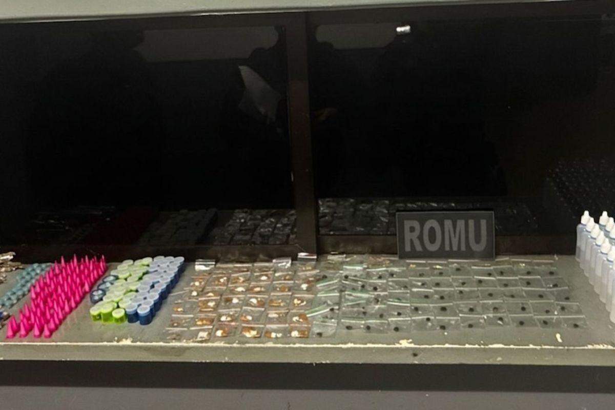 Homem foi capturado pela Guarda Civil Municipal (GCM) em São Vicente